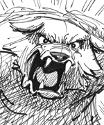 Live Action Storyboards, Bear in the Woods